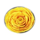 Xoài Sấy Hoa Hồng (hộp 400g)